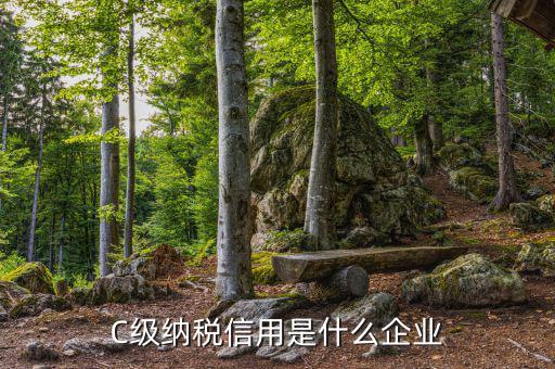 稅務(wù)等級c級是什么意思，申請一般納稅人abc類是什么意思