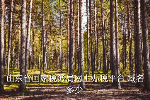 山東省國(guó)家稅務(wù)局網(wǎng)上辦稅平臺(tái) 域名多少