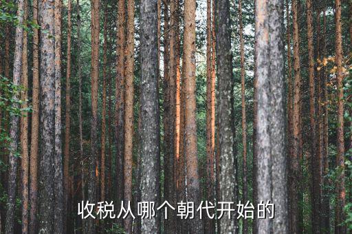 什么時候開始有稅收，稅是從什么時候開始的