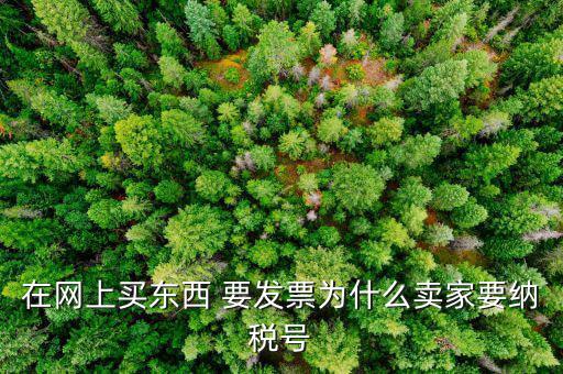 在網上買東西 要發(fā)票為什么賣家要納稅號