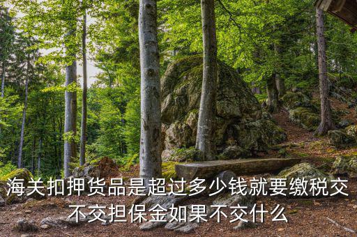 納稅擔(dān)保什么意思，海關(guān)扣押貨品是超過(guò)多少錢(qián)就要繳稅交不交擔(dān)保金如果不交什么