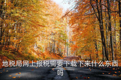 辦地稅都需要什么軟件，地稅網(wǎng)上申報軟件