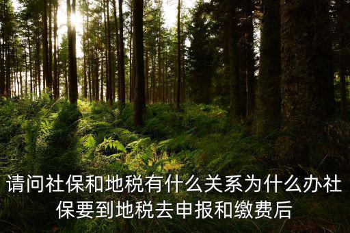社保和地稅有什么關(guān)系，我現(xiàn)在不知道怎么辦理社保都辦理好了可跟地稅有什么關(guān)系呀