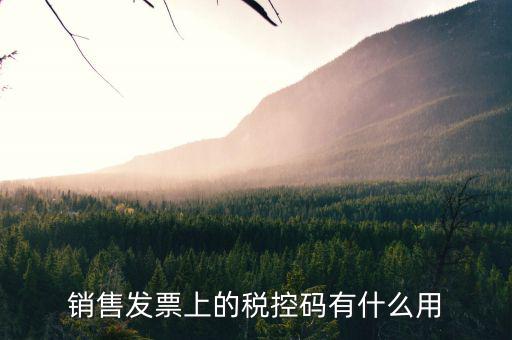 發(fā)票稅控碼是什么，國(guó)稅發(fā)票稅控碼