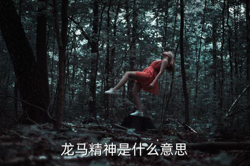 湖北國(guó)稅精神是什么意思，神志不清精神不能集中是什么詞的意思