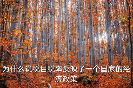 為什么要規(guī)定稅目，稅目是什么意思