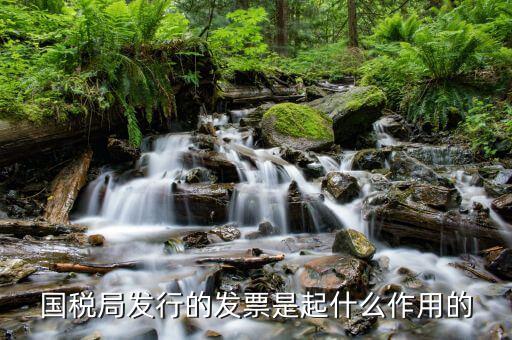 國家稅務(wù)局發(fā)票有什么用，發(fā)票有哪些作用呢