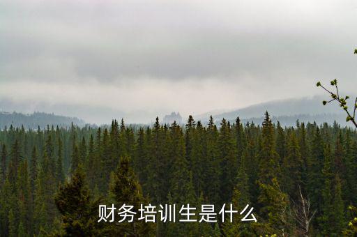 財務培訓生是什么
