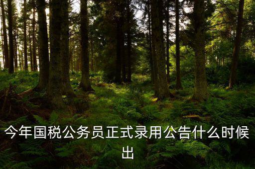 今年國稅公務員正式錄用公告什么時候出