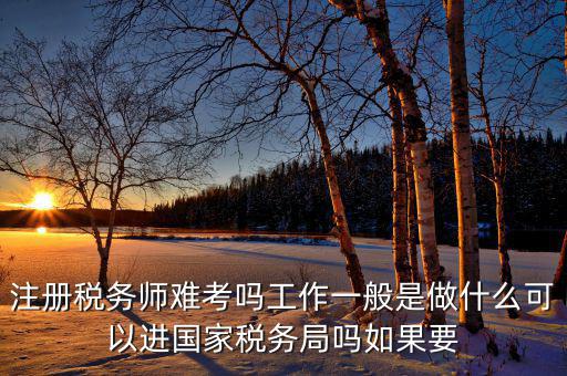 稅務(wù)師是什么，注冊稅務(wù)師能干什么待遇怎么樣