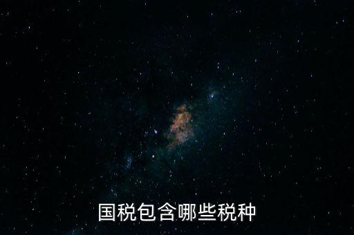 國(guó)稅發(fā)票有什么項(xiàng)目，國(guó)稅通用手工發(fā)票可以開(kāi)什么項(xiàng)目經(jīng)營(yíng)范圍是道路普通貨物運(yùn)輸