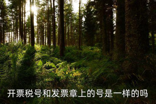 發(fā)票專(zhuān)用章上號(hào)碼是什么，發(fā)票專(zhuān)用章的號(hào)碼和稅務(wù)登記證號(hào)碼一樣么