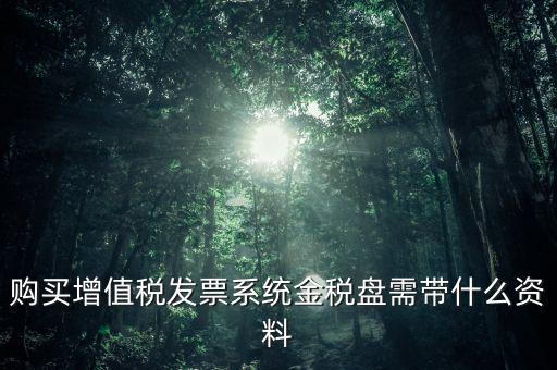 購(gòu)買(mǎi)金稅盤(pán)要什么資料，購(gòu)買(mǎi)增值稅發(fā)票系統(tǒng)金稅盤(pán)需帶什么資料