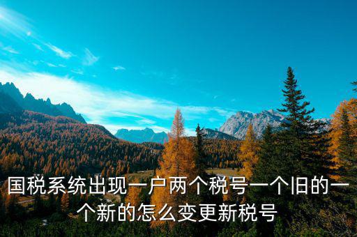 國稅系統(tǒng)出現(xiàn)一戶兩個(gè)稅號一個(gè)舊的一個(gè)新的怎么變更新稅號