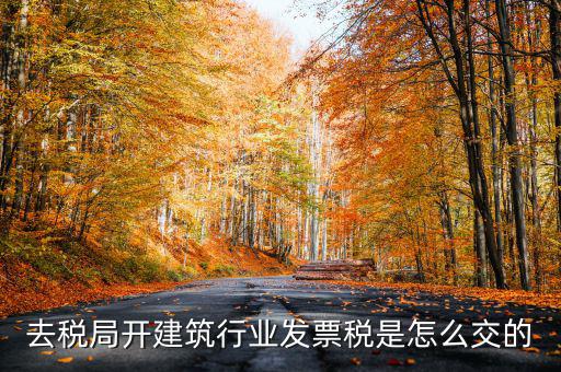 去稅局開建筑行業(yè)發(fā)票稅是怎么交的