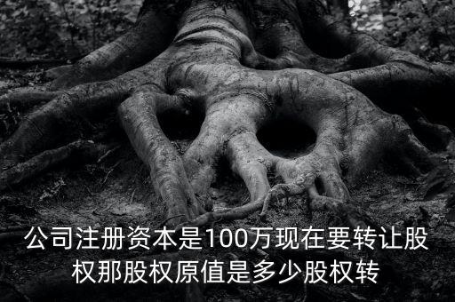 股權(quán)原值是什么意思，公司注冊資本是100萬現(xiàn)在要轉(zhuǎn)讓股權(quán)那股權(quán)原值是多少股權(quán)轉(zhuǎn)