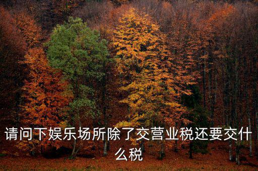 娛樂業(yè)交什么稅，請問下娛樂場所除了交營業(yè)稅還要交什么稅