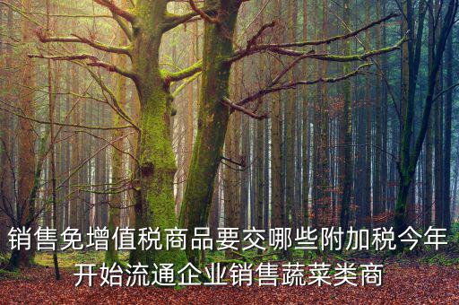 銷(xiāo)售免增值稅商品要交哪些附加稅今年開(kāi)始流通企業(yè)銷(xiāo)售蔬菜類(lèi)商