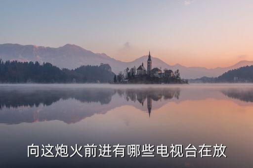 向這炮火前進有哪些電視臺在放