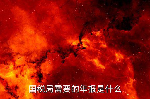國稅局需要的年報是什么