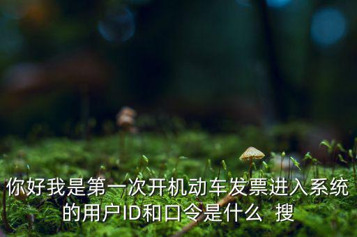 你好我是第一次開(kāi)機(jī)動(dòng)車(chē)發(fā)票進(jìn)入系統(tǒng)的用戶(hù)ID和口令是什么  搜