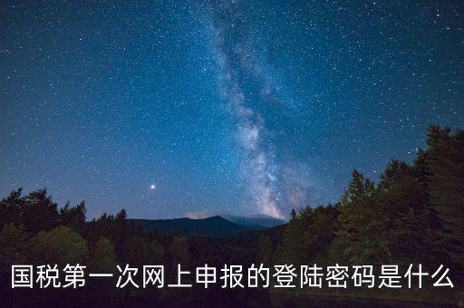 國稅登錄賬號(hào)密碼是什么意思，國稅第一次網(wǎng)上申報(bào)的登陸密碼是什么
