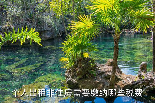 個人出租非住房交什么稅，個人出租非住房出現(xiàn)行綜合稅率是多少是哪些稅種