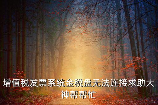 為什么金稅盤(pán)連接不上，金稅盤(pán)直接進(jìn)不去怎么回事啊