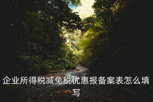 什么是稅收優(yōu)惠備案表，企業(yè)所得稅優(yōu)惠備案表填寫急