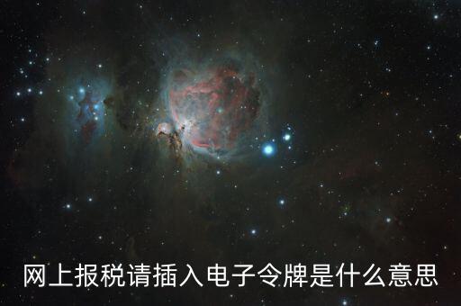 報稅數(shù)字證書口令是什么意思，網(wǎng)上報稅請插入電子令牌是什么意思