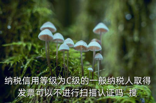 納稅信用等級為C級的一般納稅人取得發(fā)票可以不進行掃描認(rèn)證嗎  搜