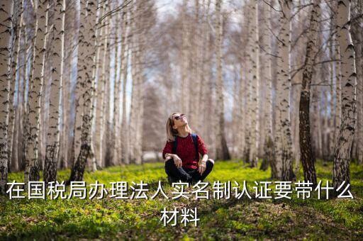 實(shí)名認(rèn)證稅務(wù)需要什么資料，在國(guó)稅局辦理法人實(shí)名制認(rèn)證要帶什么材料