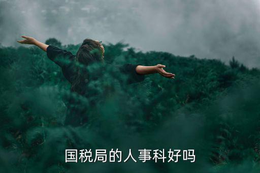 國(guó)稅人事科做什么，縣國(guó)稅局的人事歸哪里管基層分局的級(jí)別