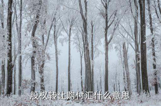 什么是售付匯，股權轉讓購付匯什么意思
