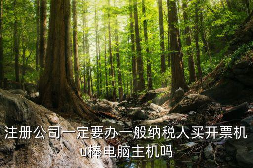 注冊(cè)公司一定要辦一般納稅人買開(kāi)票機(jī)u棒電腦主機(jī)嗎