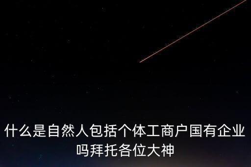 稅務(wù)上的自然人指的是什么，申請人為自然人的是什么意思