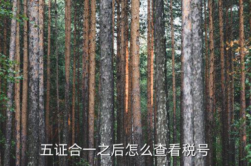五證合一后納稅人識別號是什么，五證合一之后怎么查看稅號