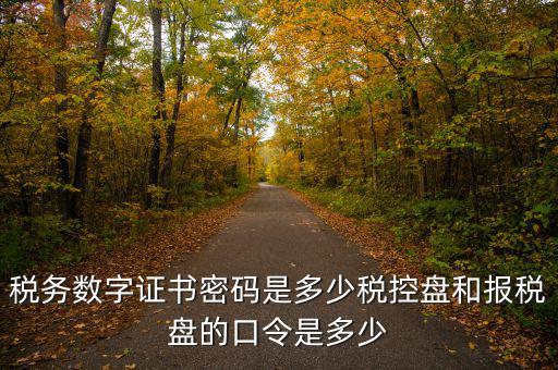 寧波國稅ca密碼是什么，寧波市電子稅務(wù)局登陸密碼