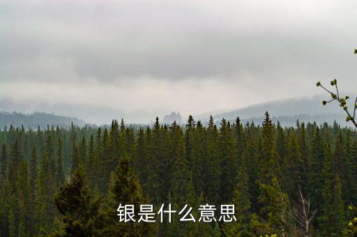 財(cái)稅庫(kù)銀是什么意思，銀是什么意思