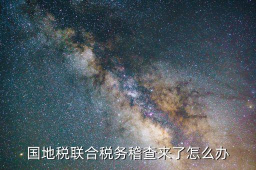 國(guó)地稅聯(lián)合稽查是什么意思，國(guó)地稅聯(lián)合稅費(fèi)申報(bào)什么意思