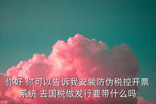 你好 你可以告訴我安裝防偽稅控開(kāi)票系統(tǒng) 去國(guó)稅做發(fā)行要帶什么嗎