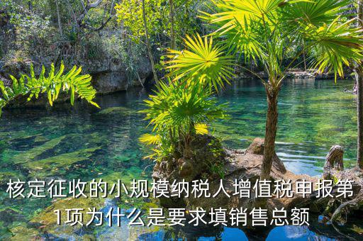 為什么要填增值稅申報(bào)，為什么公司老是要申報(bào)稅
