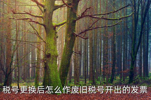 變稅號(hào)需要做什么，稅號(hào)更換后怎么作廢舊稅號(hào)開出的發(fā)票