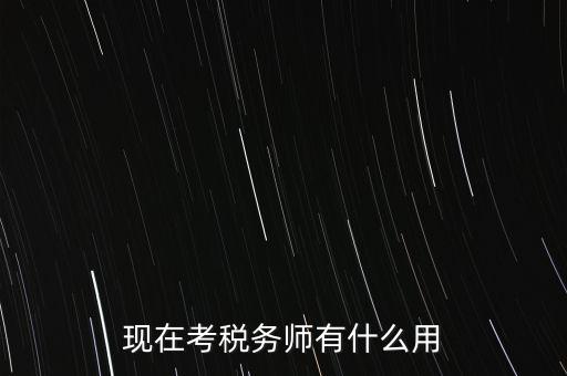 現(xiàn)在考稅務師有什么用