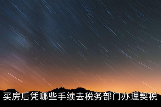 購房要在國稅辦什么，現(xiàn)在買房要辦些什么證件買房者與賣房者所交稅務(wù)有那些夠房者現(xiàn)
