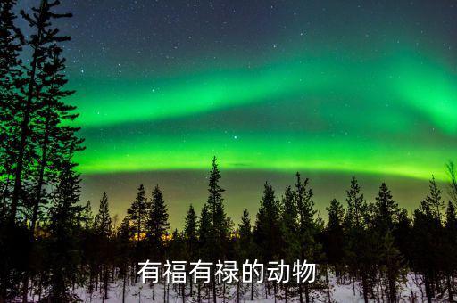 什么動(dòng)物增福祿，有福有祿的動(dòng)物