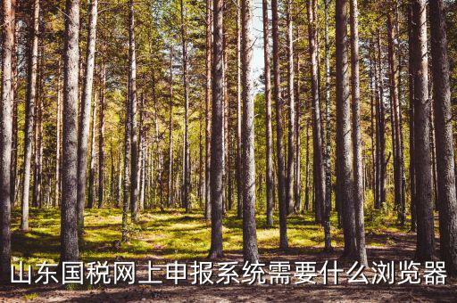 國稅網(wǎng)站用什么瀏覽器，山東國稅網(wǎng)上申報系統(tǒng)需要什么瀏覽器