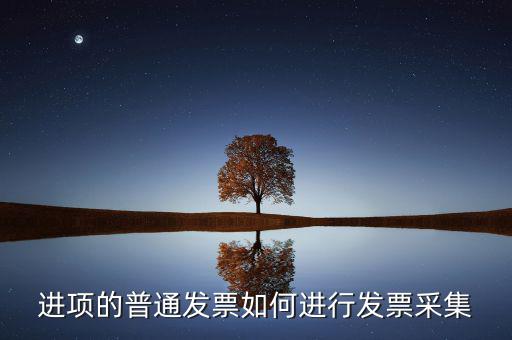 進項的普通發(fā)票如何進行發(fā)票采集