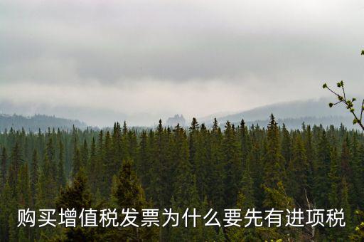 為什么要買進項票，購買增值稅發(fā)票為什么要先有進項稅