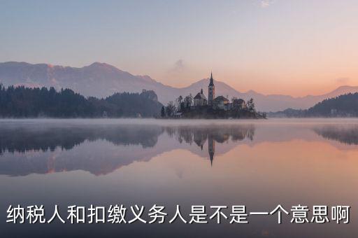 稅務(wù)人是什么，什么是納稅義務(wù)人
